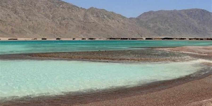 تعرف
      على
      رسوم
      زيارة
      المحميات
      الطبيعية
      للمصريين
      والأجانب