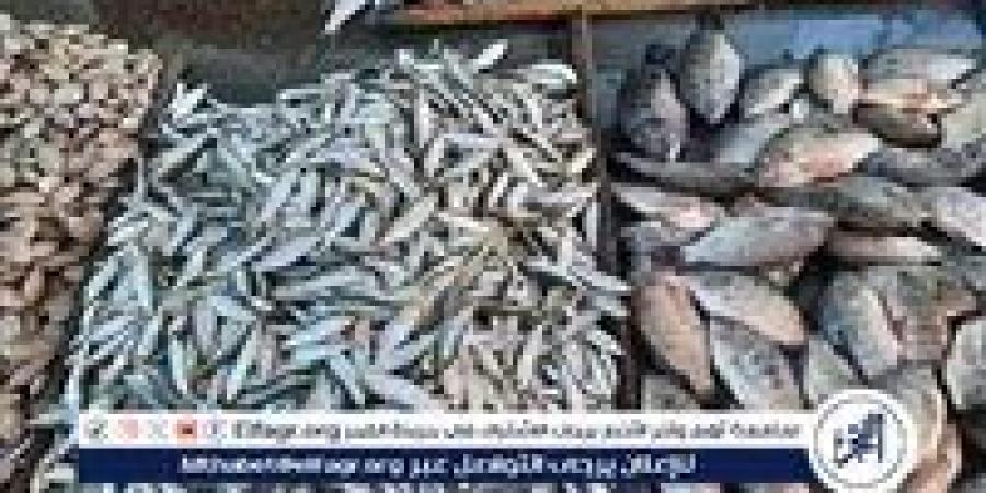 أسعار
      السمك
      في
      محافظة
      أسوان
      الثلاثاء
      23
      ديسمبر
      2025