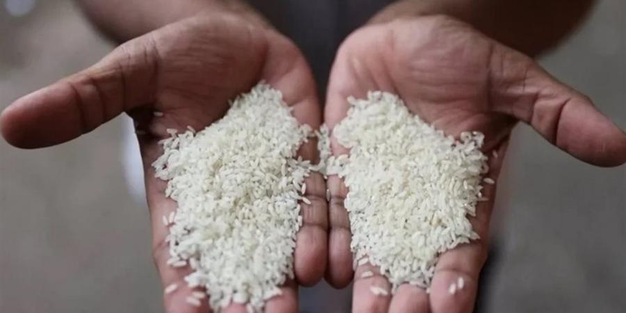 سعر
      الأرز
      الشعير
      في
      السوق
      المحلي
      اليوم
      الثلاثاء
      23
      ديسمبر
      2025