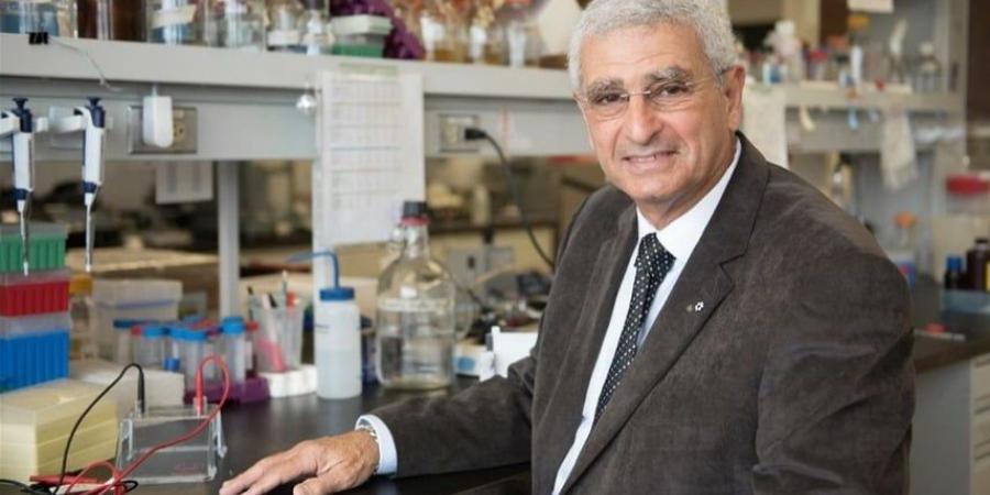 «إنجاز
      مصري
      علمي
      عالمي
      جديد»..
      من
      هو
      الدكتور
      نبيل
      صيدح
      الفائز
      بجائزة
      نوابغ
      العرب
      عن
      فئة
      الطب؟