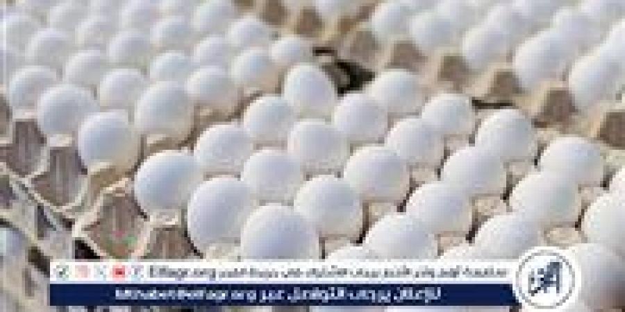 أسعار
      طبق
      البيض
      اليوم
      الخميس
      25-12-2025
      في
      قنا