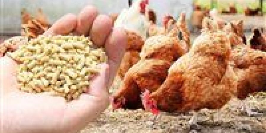 أسعار
      الأعلاف
      في
      أسوان
      اليوم
      الخميس
      25
      ديسمبر
      2025