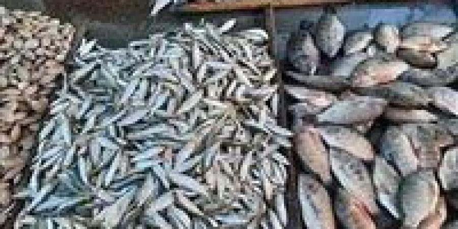 أسعار
      السمك
      اليوم
      الخميس
      25
      ديسمبر
      2025
      في
      أسوان