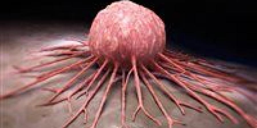 تقضي
      على
      السرطان
      بجرعة
      واحدة..دراسة:
      بكتيريا
      لضفدع
      ياباني
      تخلصك
      من
      الأورام
      نهائيا