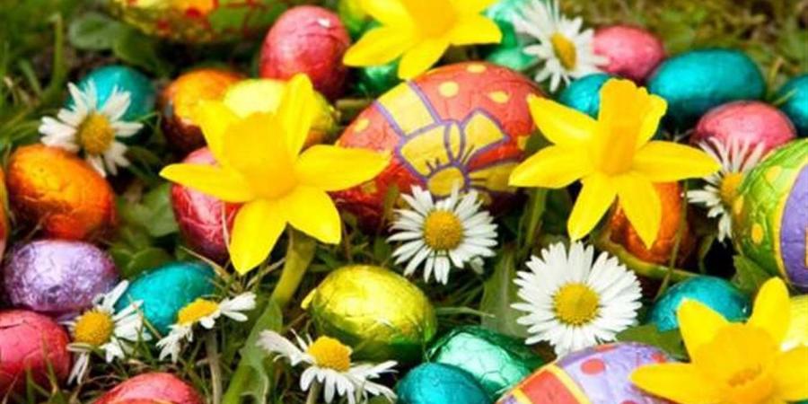 شم النسيم 2026.. موعد الإجازة الرسمية وقائمة العطلات حتى نهاية العام