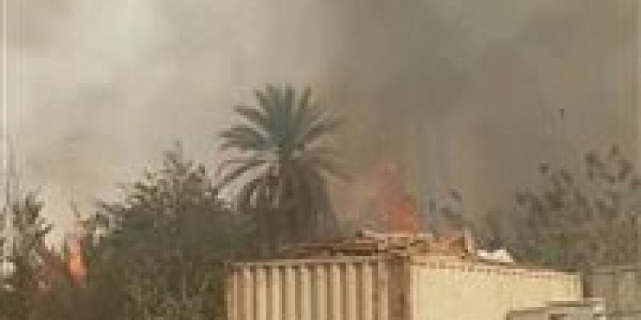 النيران تحاصر النخيل والدخان غطى المكان.. حريق هائل يهز نجع الحلة في إسنا