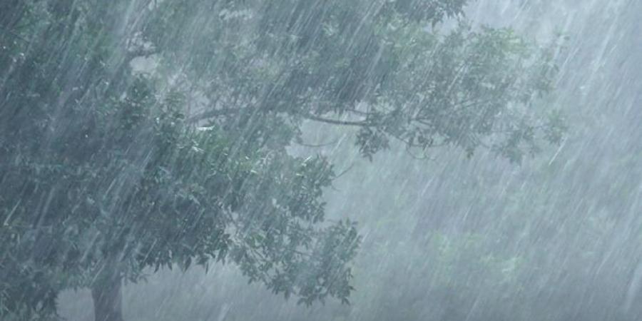 استمرار تساقط الأمطار عبر عدة ولايات إلى غاية الخميس