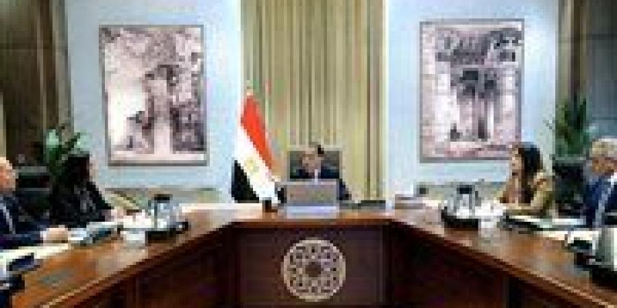 رئيس الوزراء: التوسع في العمل عن بُعد خلال الفترة المقبلة لمواجهة استمرار الأزمة