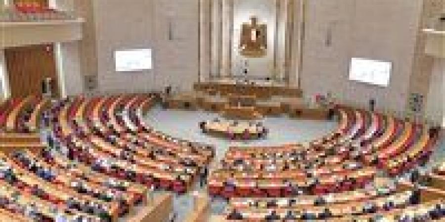 بطاقة من ٥ سنين وتسجيل بصمات الأطفال.. تشريعات مرتقبة لمواجهة الخطف