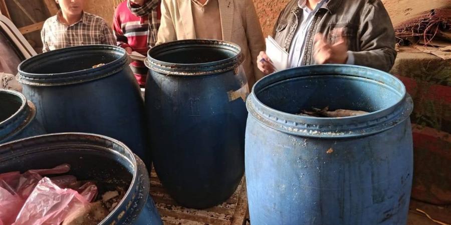 بيطري المنيا: ضبط 558.5 كيلو فسيخ فاسد داخل مخزن للأسماك المملحة بملوي