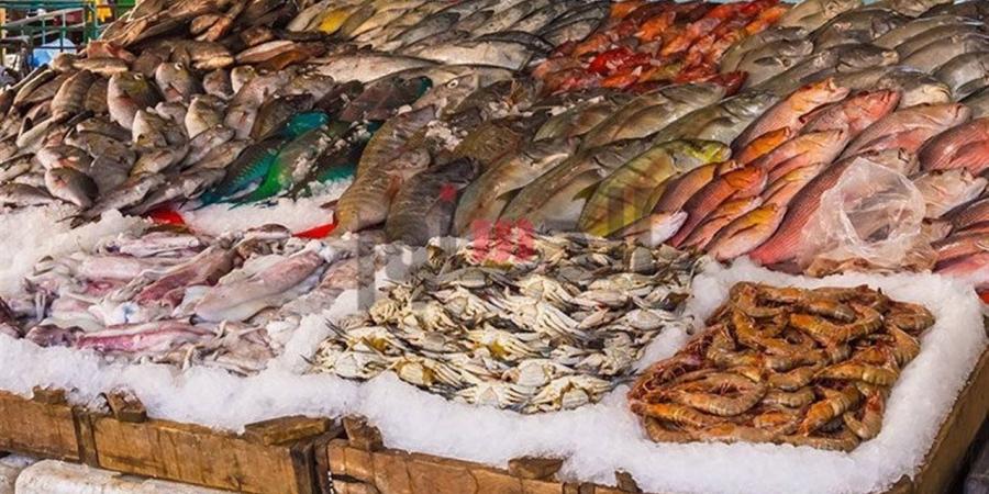 أسعار الأسماك والمأكولات البحرية اليوم الجمعة 3 إبريل 2026