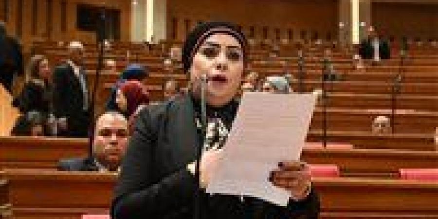 «تعليم النواب» تثمن بقرار العمل عن بُعد ببعض المؤسسات الحكومية والخاصة وتدعو لتطبيقه في المدارس