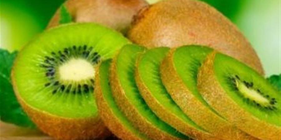 مفاجأة.. تعرف على فوائد الكيوي في صحة الأمعاء والمناعة