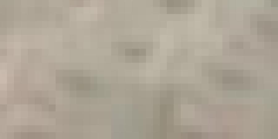 جديد ترقيم وبيع المركبات وشطب البطاقات الرمادية