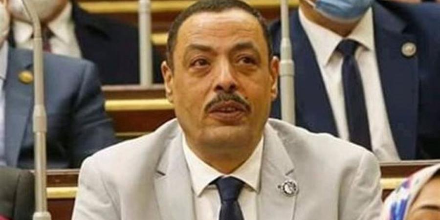 مطالب برلمانية بقمر صناعي مصري الكشف عن البترول والثروة المعدنية