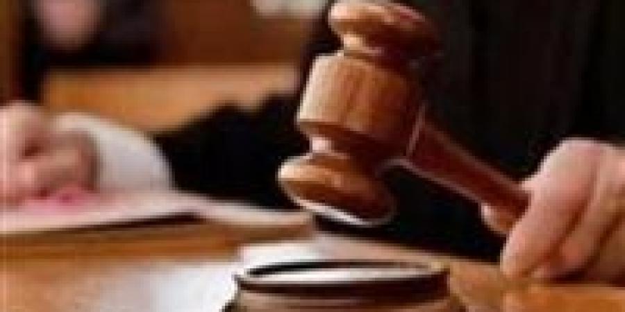 تأجيل نظر قضية ثأر الدلنجات إلى مايو المقبل لاستكمال المرافعات