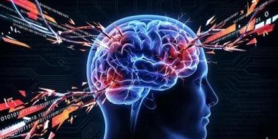 من الصفر إلى التطبيق.. خطوات اكتساب مهارة رقمية في 48 ساعة