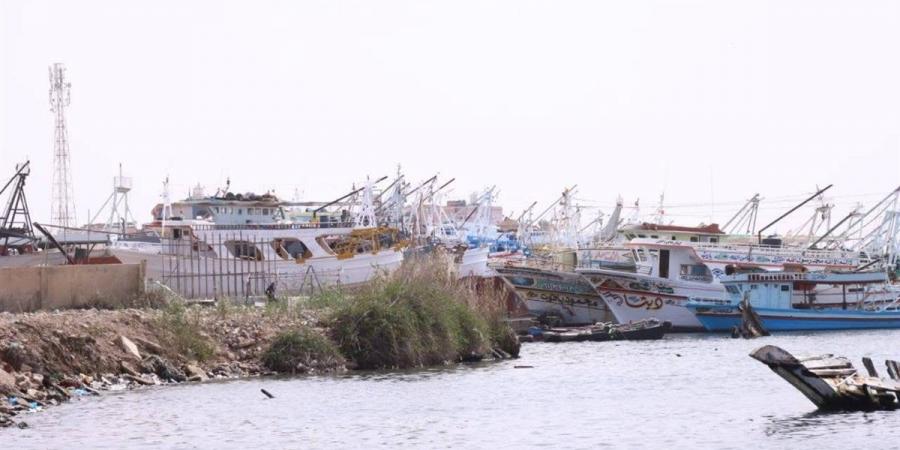 محافظ دمياط يبحث آليات تعظيم الاستفادة من أرض أدفينا