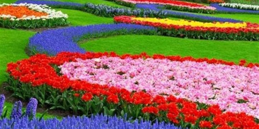 موعد بداية فصل الربيع 2026 في مصر رسميًا