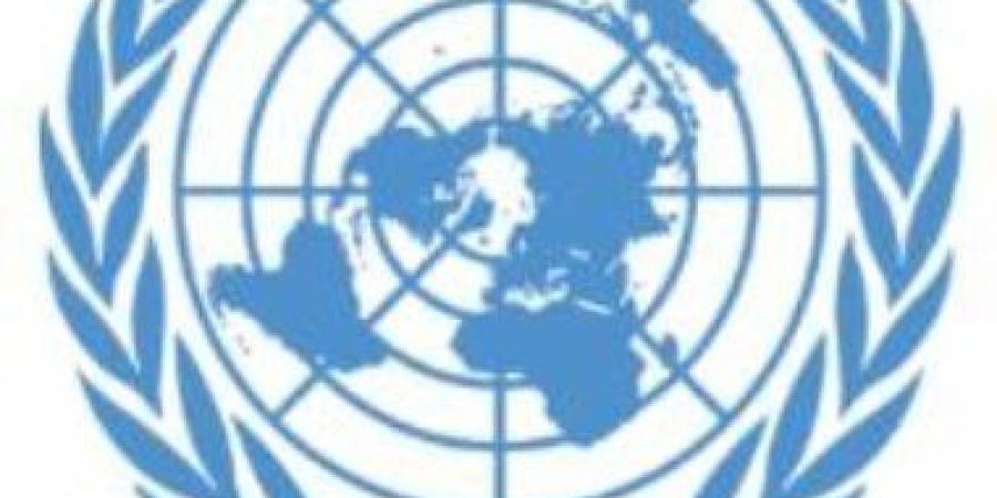 مسؤول أممى: الإجراءات المتعلقة بالألغام تهيئ ظروفا أكثر أمانا للعمليات الإنسانية فى غزة