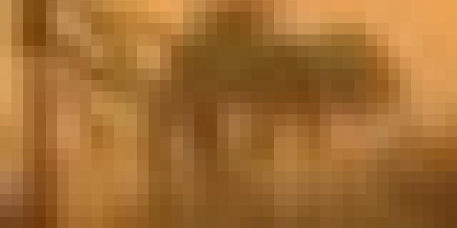 رياح قوية وزوابع رملية في هذه الولايات اليوم