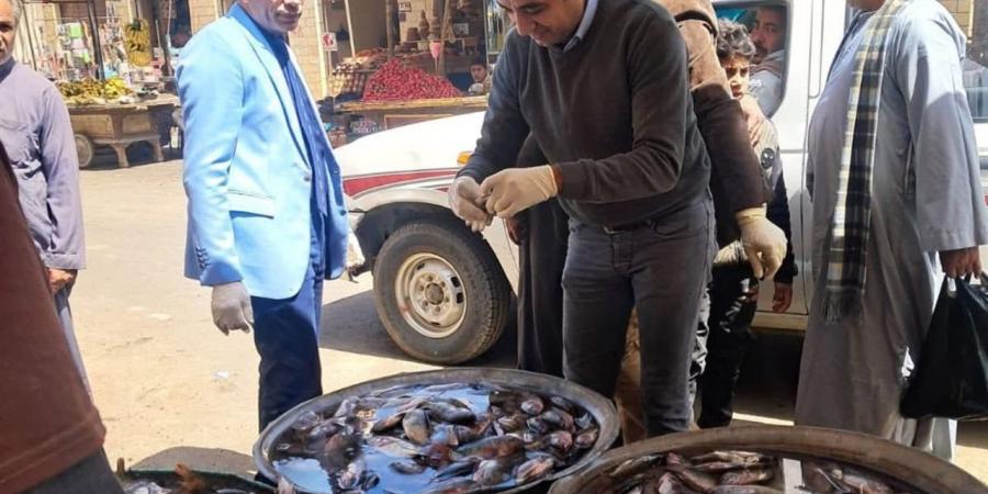 أسعار الأسماك الطازجة والمجمدة والمملحة فى محافظة البحيرة