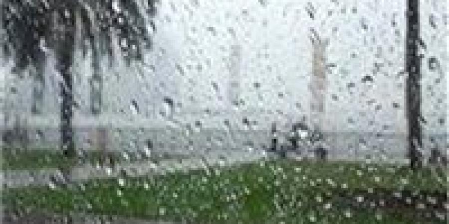 طقس الغد.. الأرصاد تكشف التفاصيل الكاملة