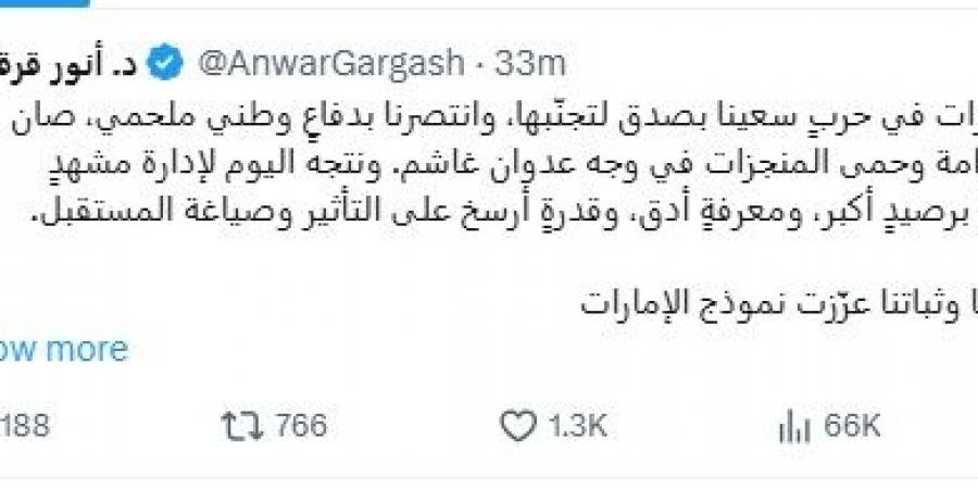 قرقاش: الإمارات انتصرت في الحرب وتتجه للتعامل مع مشهد إقليمي معقد