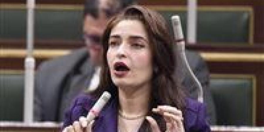 طلب إحاطة برلماني ينتقد تراجع الخدمات الصحية ونقص الأطباء في المستشفيات الحكومية