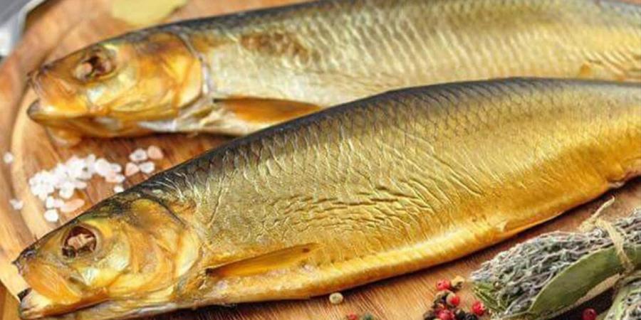 نهلة عبدالوهاب: الاعتدال في تناول الفسيخ والرنجة يضمن السلامة بشم النسيم