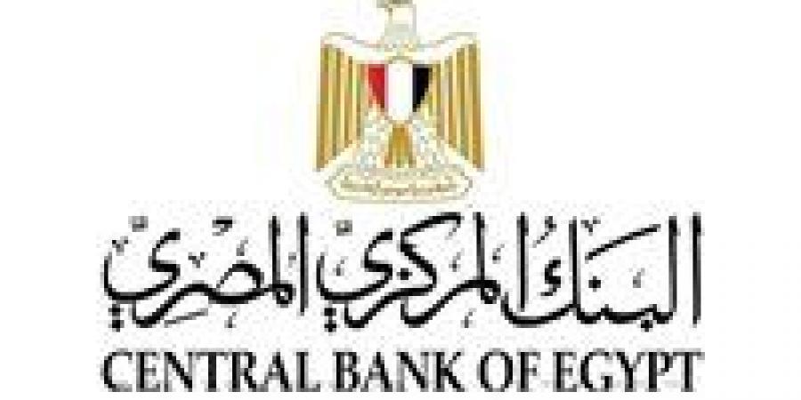 قانون البنك المركزي يضع إطارًا صارمًا لتنظيم شركات تحويل الأموال في مصر