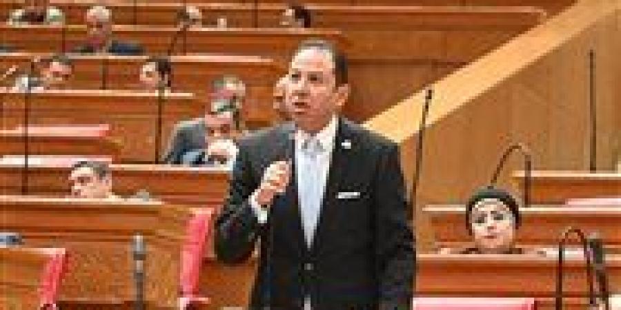 النائب حسن عمار: موازنة العام الجديد تضع الاقتصاد أمام اختبار التوازن بين الإيرادات والحماية الاجتماعية