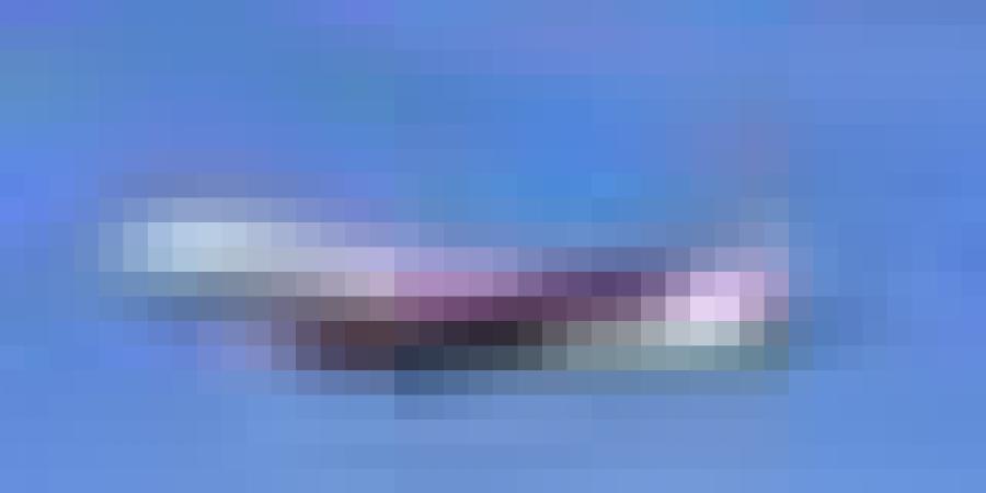 الجوية الجزائرية: تخفيضات على التذاكر من الخارج لفائدة الجالية