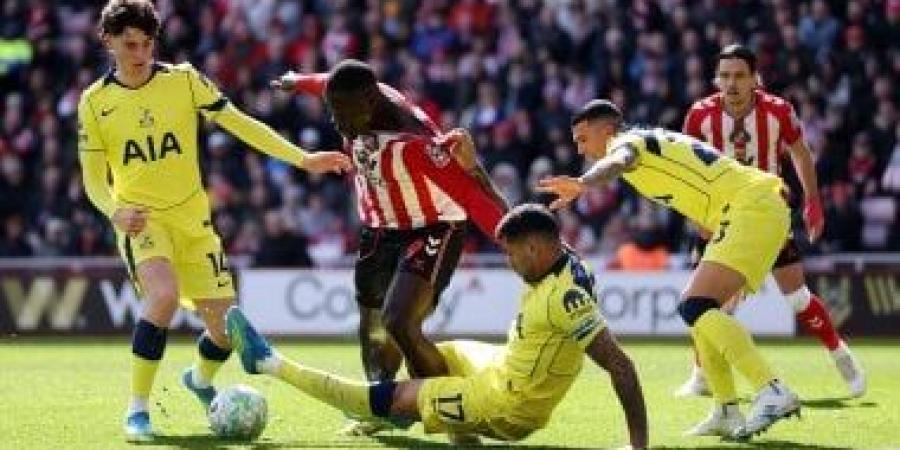 توتنهام يواصل السقوط فى الدوري الإنجليزي بهدف أمام سندرلاند.. فيديو