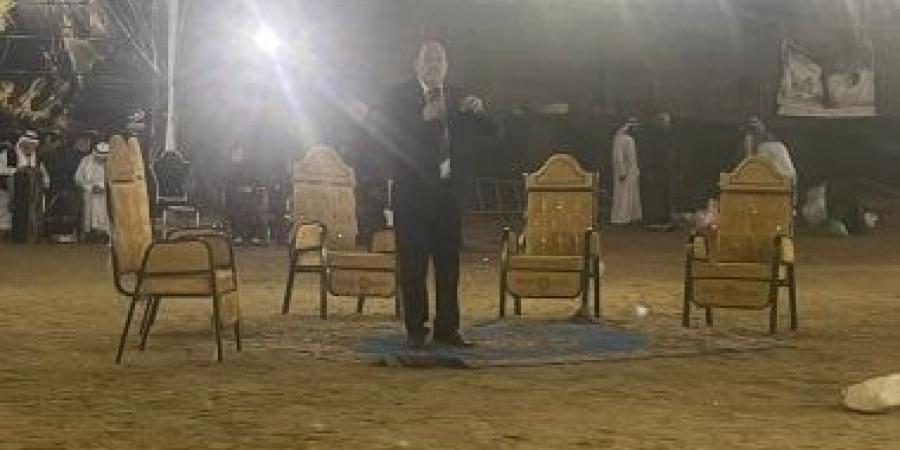 صالون سيناء يناقش الأمن والتنمية ويطلق مبادرة لزراعة 100 مليون شجرة زيتون