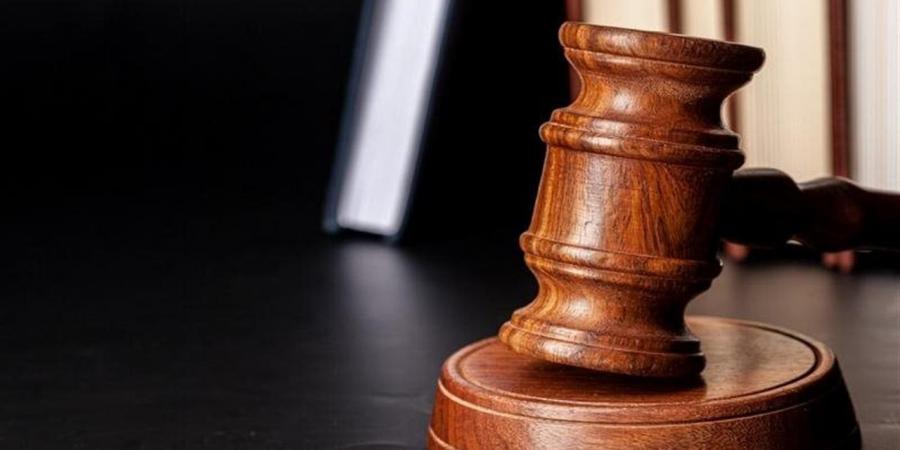 السجن المشدد 10 سنوات لمحامٍ قتل نجلته في المنيا بسبب التعذيب