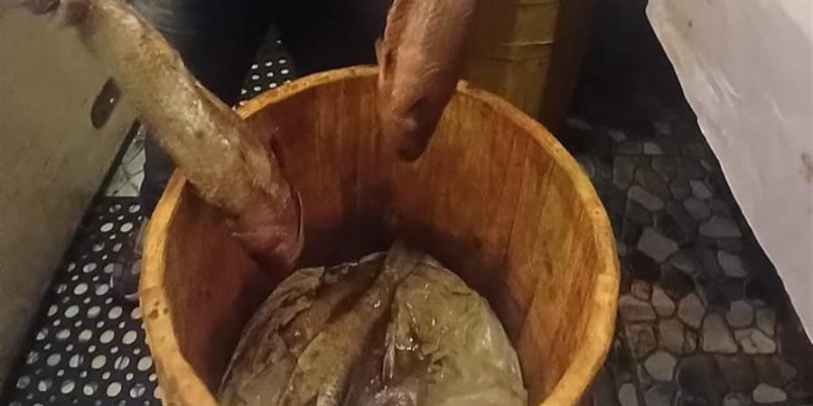 ضبط نصف طن فسيخ ورنجة غير صالحة و2200 رغيف مدعم وتحرر 63 محضرًا للمخابز