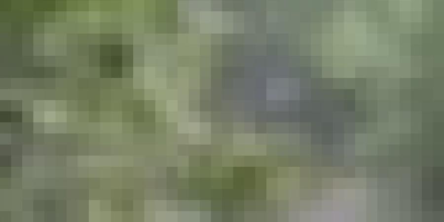 أمطار غزيرة تصل 70 ملم على هذه الولايات