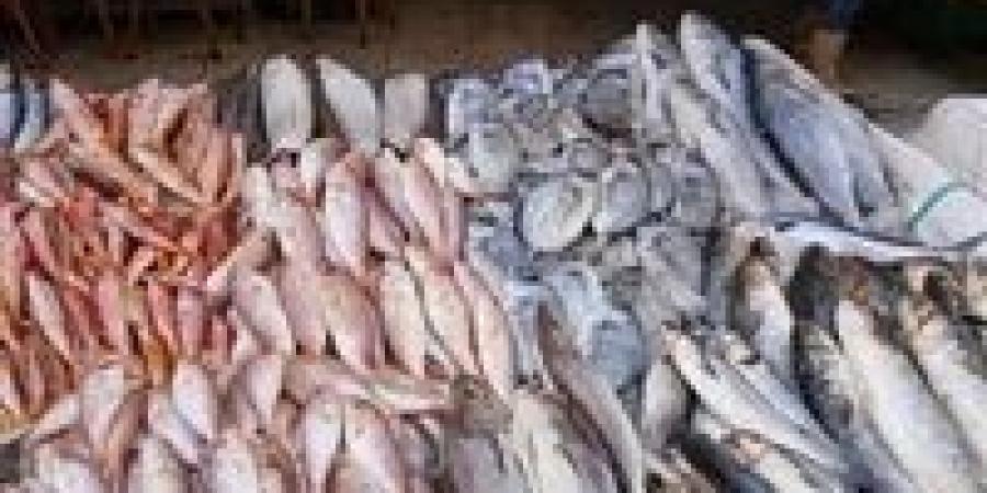 أسعار الأسماك في مصر مع زيادة الطلب خلال شم النسيم اليوم