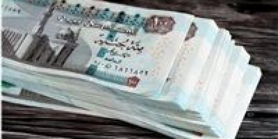 كام قبضك بعد الزيادة؟ مفاجأة في زيادة الرواتب بعد تطبيق الحد الأدنى للأجور