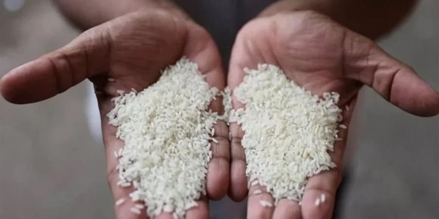 أسعار الأرز الشعير اليوم الثلاثاء 14 إبريل 2026 بالأسواق والمضارب