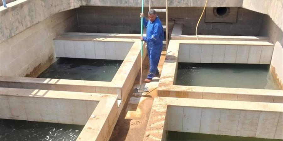 "مياه كفرالشيخ": تطهير وتعقيم المروقات والمرشحات بالمرحلة الأولى بـ “محطة فوه”