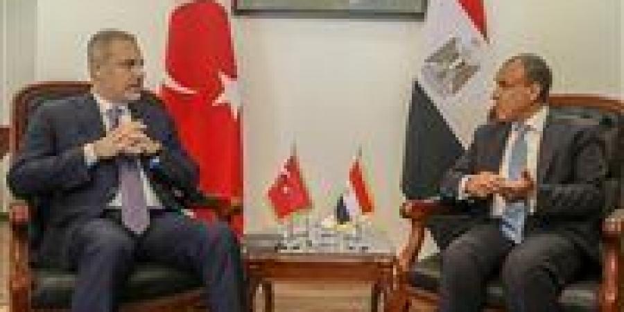 «توافق في الرؤى».. وزير الخارجية يبحث مع نظيره التركى مستجدات الأوضاع الإقليمية