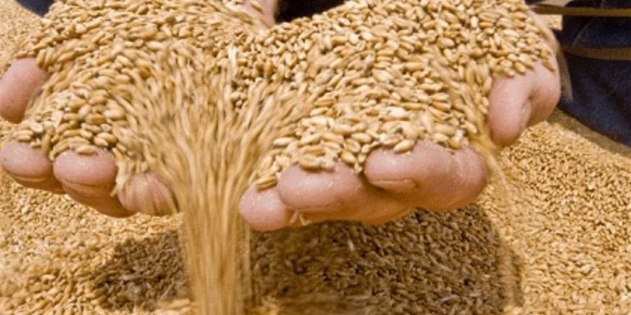 روسيا ترسل شحنة قمح إلى إيران عبر بحر قزوين لأول مرة منذ سنوات