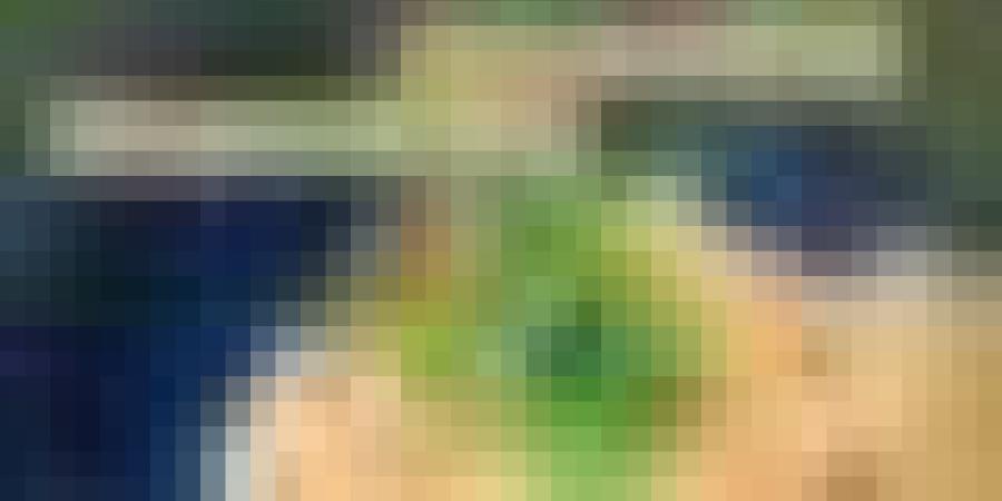 وزارة التجارة الخارجية تنظم معرض المنتجات والخدمات الموجهة للتصدير