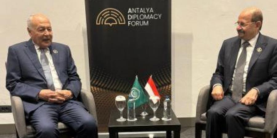 أبو الغيط يؤكد دعم اليمن.. ويحذر من تداعيات التصعيد على الملاحة الإقليمية