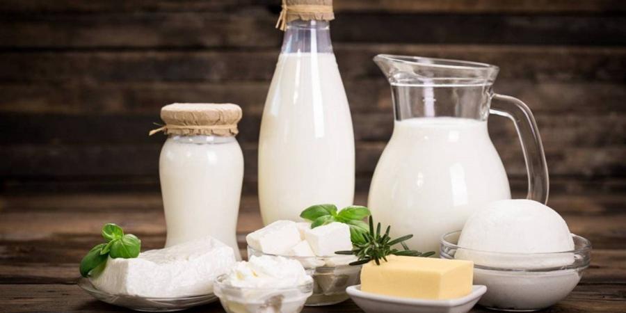 أسعار الألبان ومشتقاتها في أسواق محافظة الغربية اليوم الأحد 19 إبريل 2026