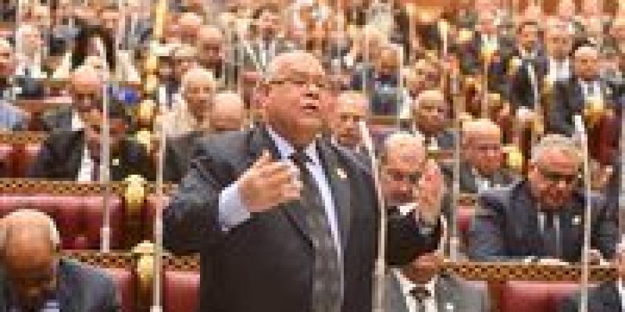 النائب ناجي الشهابي لـ تحيا مصر: قرار منع السفر للممتنعين عن سداد النفقة نقلة نوعية لضمان تنفيذ الأحكام وحماية الأسرة المصرية
