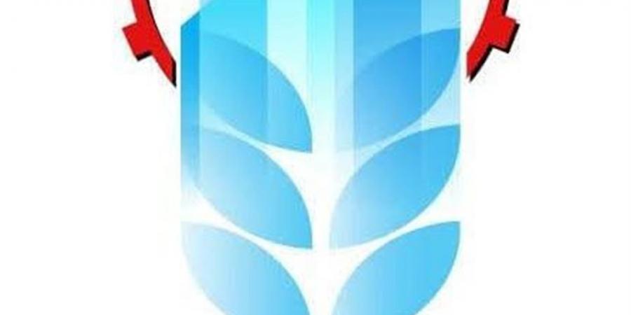 القابضة الغذائية: استلام 5.7 مليون طن قصب من المزارعين.. والتوريدات مستمرة للوصول إلى المستهدف