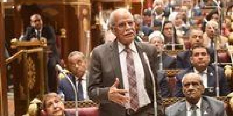 العربى الناصرى: توجيهات الرئيس بتسريع مشروعات الإسكان تجسّد فكر الدولة الوطنية وتؤسس لعدالة اجتماعية حقيقية